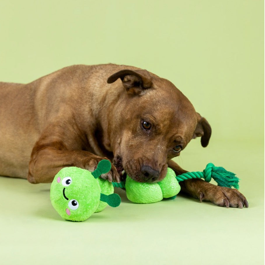 trektouw rups hond pluche