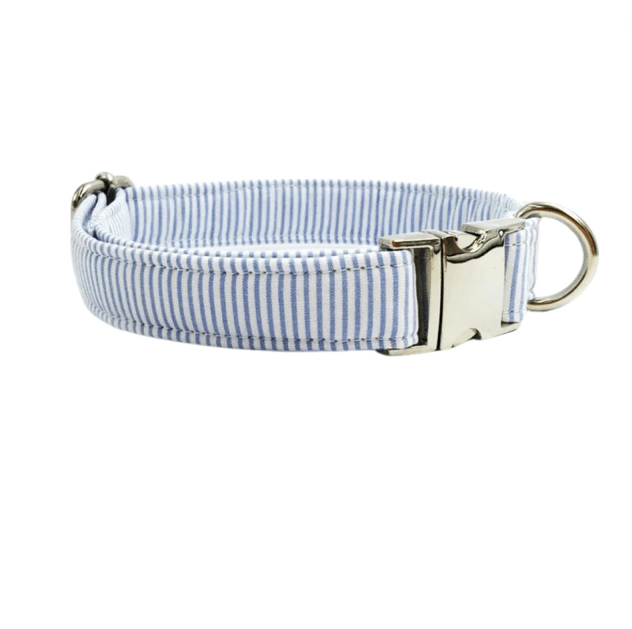 Hippe Gestreepte Halsband met Strik incl. Riem
