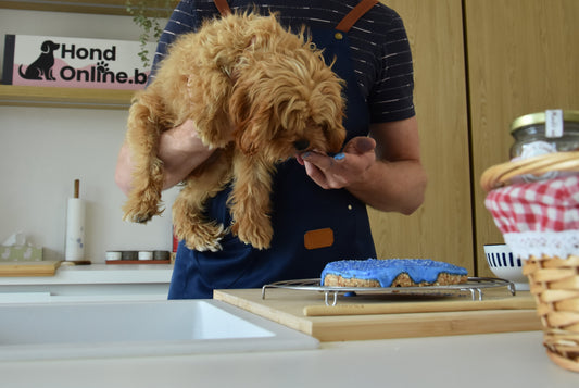 Blue Mermaid Shrimp - pakket feestelijke hondentaart