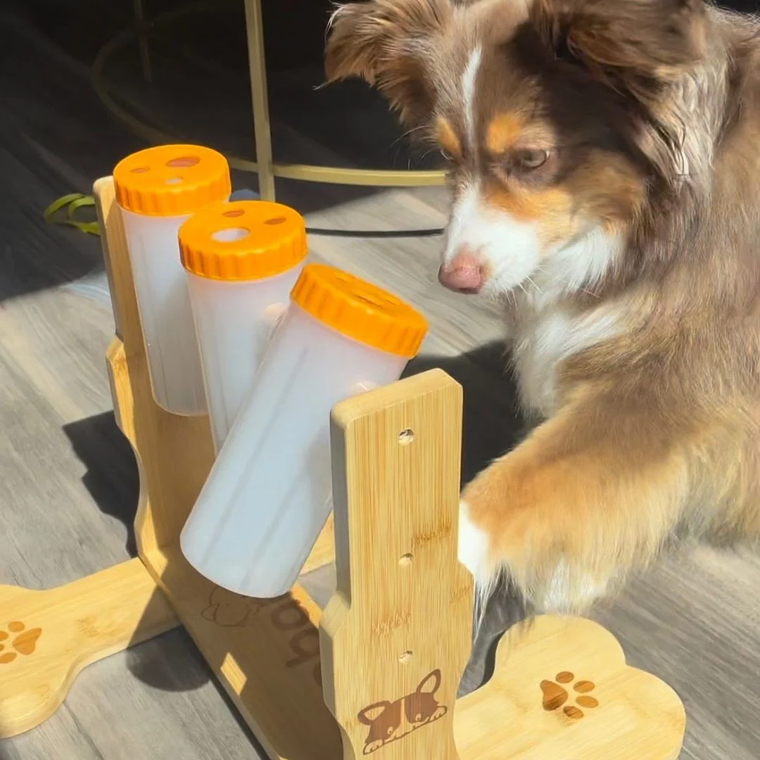 Snacklab treat dispenser Medium, interactief honden speelgoed, Slow Feeder - Mentale workout voor slimme honden - draaien, schuiven en trekken - puzzel - hulpmiddel voor het mentale welzijn om verveling en stress te verminderen