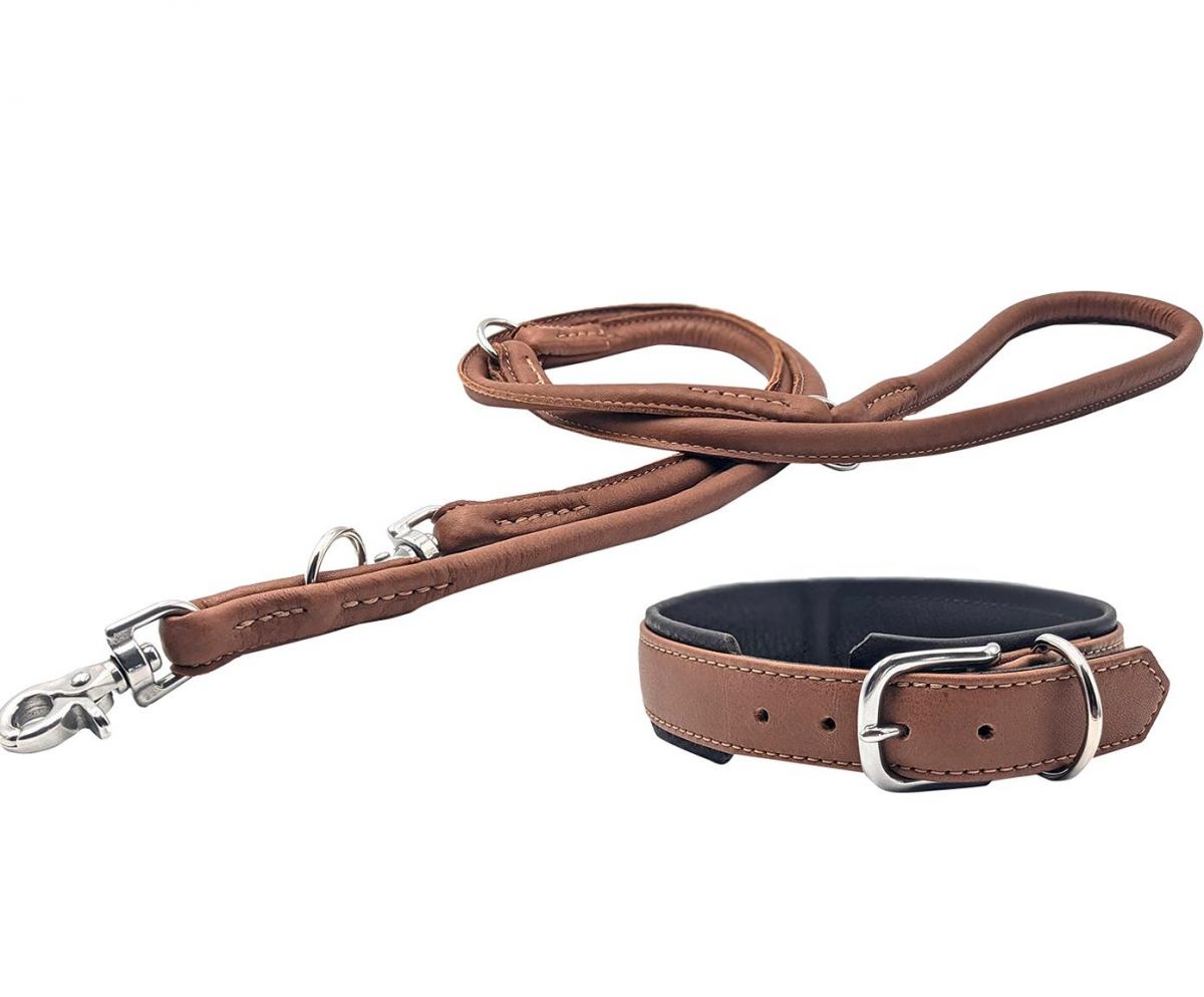 AMICI Stijvolle Set Halsband + Riem Cognac