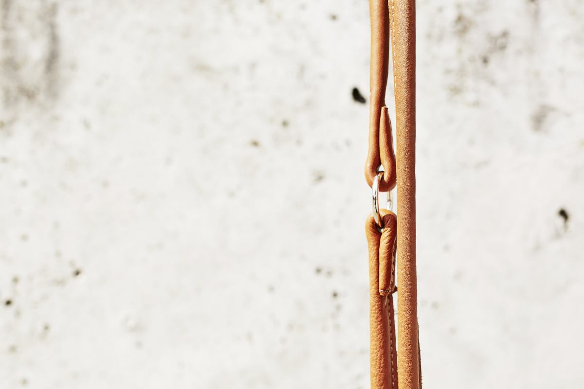 AMICI Stijvolle Set Halsband + Riem Cognac