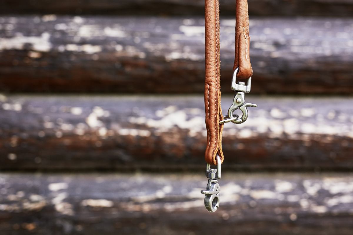 AMICI Stijvolle Set Halsband + Riem Cognac