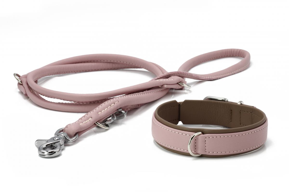AMICI Honden Halsband en Riem Set Roze