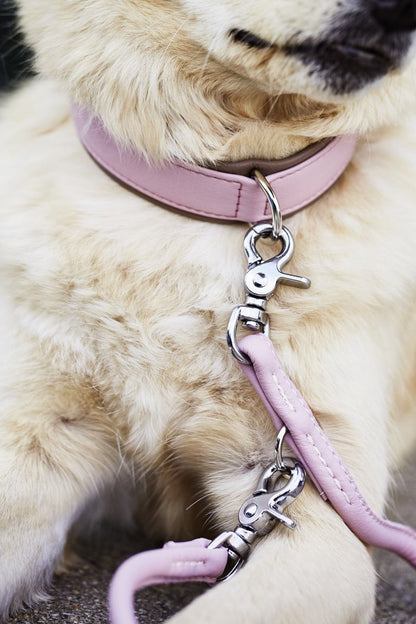 AMICI Honden Halsband en Riem Set Roze