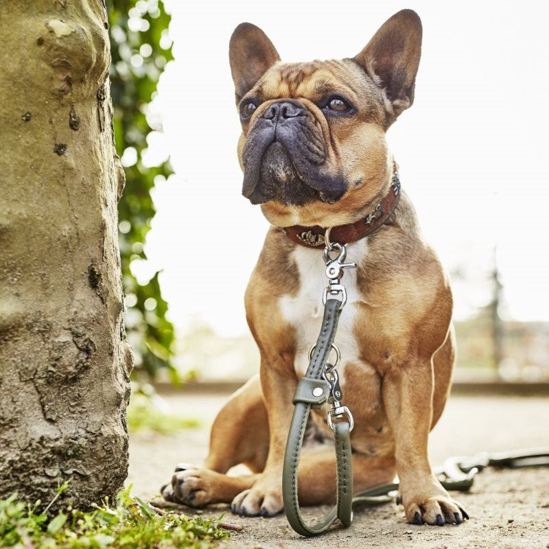 AMICI Honden- en Katten Riem Donkergroen