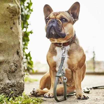 AMICI Honden- en Katten Riem Donkergroen