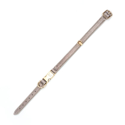 Leren Honden- en Kattenhalsband Tino Goud