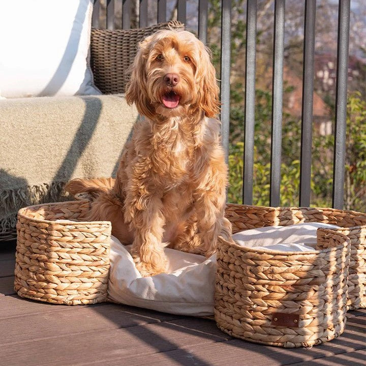 Bongo Luxe Hondenmand