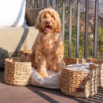 Bongo Luxe Hondenmand