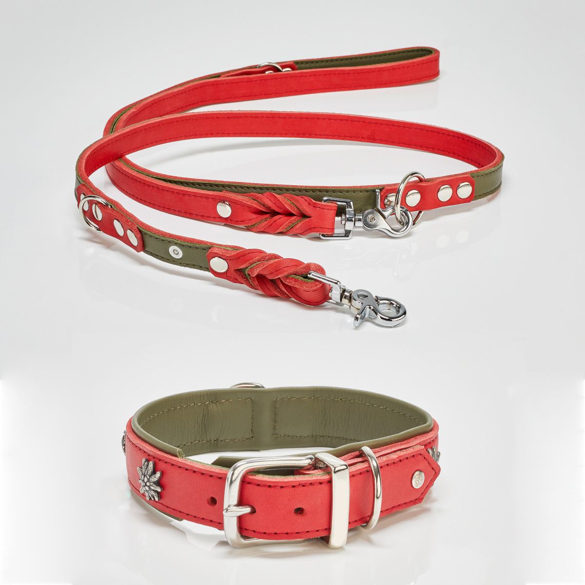 EDELWEISS Honden Halsband -en Riem Set