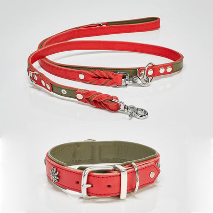 EDELWEISS Honden Halsband -en Riem Set
