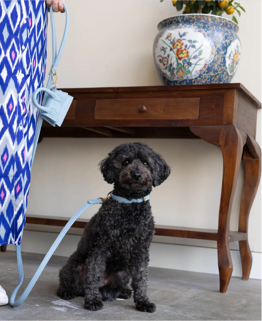 Design Beloningstasje - Poepzakjeshouder