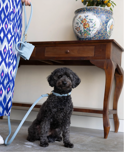 Design Beloningstasje - Poepzakjeshouder