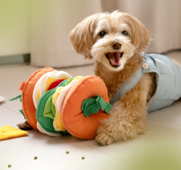 Hondenpuzzels voor volwassen honden en puppy's - Pets Place Hondenpuzzels voor volwassen honden en puppy's - Pets Place