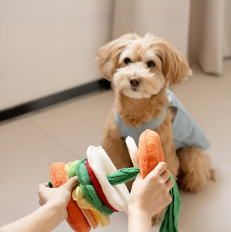 Pea pod snuffle - toy Injoya - snuffelspeeltje voor de hond - mentale Pea pod snuffle - toy Injoya - snuffelspeeltje voor de hond - mentale