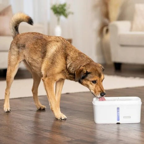 Honden Drinkfontein Draadloos 4.1L