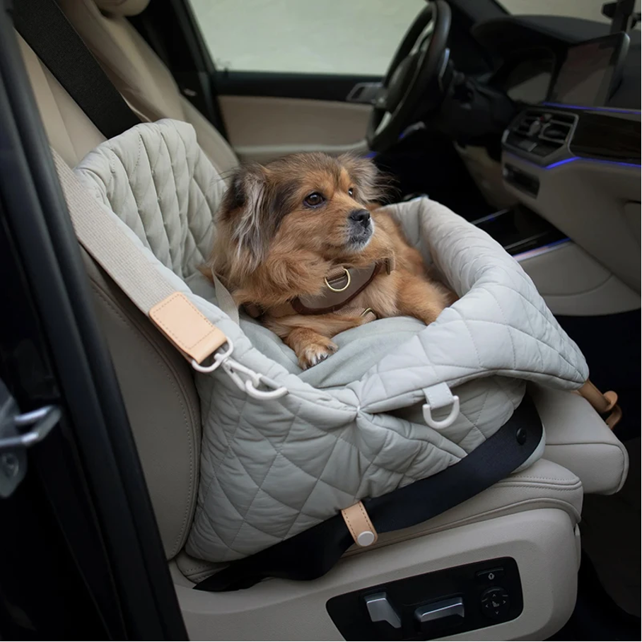 Hond in auto reistas - Dierenbenodigdheden kopen? | Korting tot 39 Hond in auto reistas - Dierenbenodigdheden kopen? | Korting tot 39