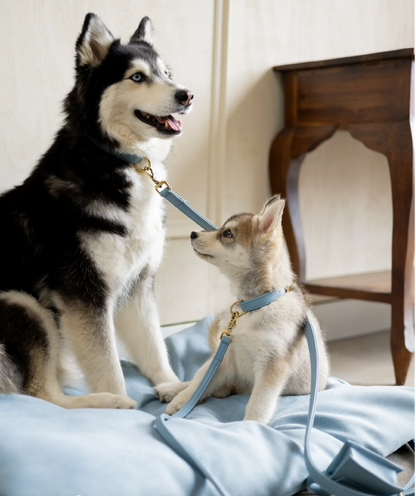 Design Beloningstasje - Poepzakjeshouder