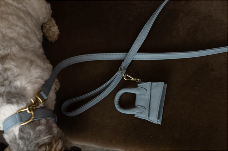 Design Beloningstasje - Poepzakjeshouder