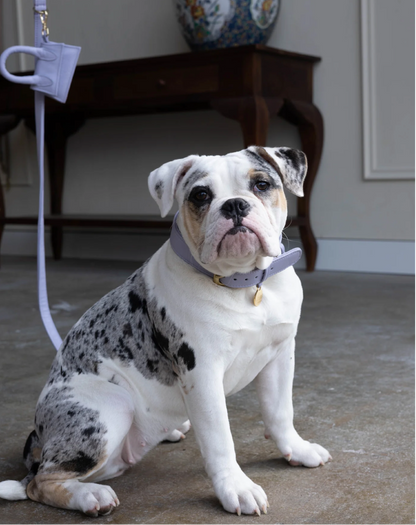 Design Beloningstasje - Poepzakjeshouder