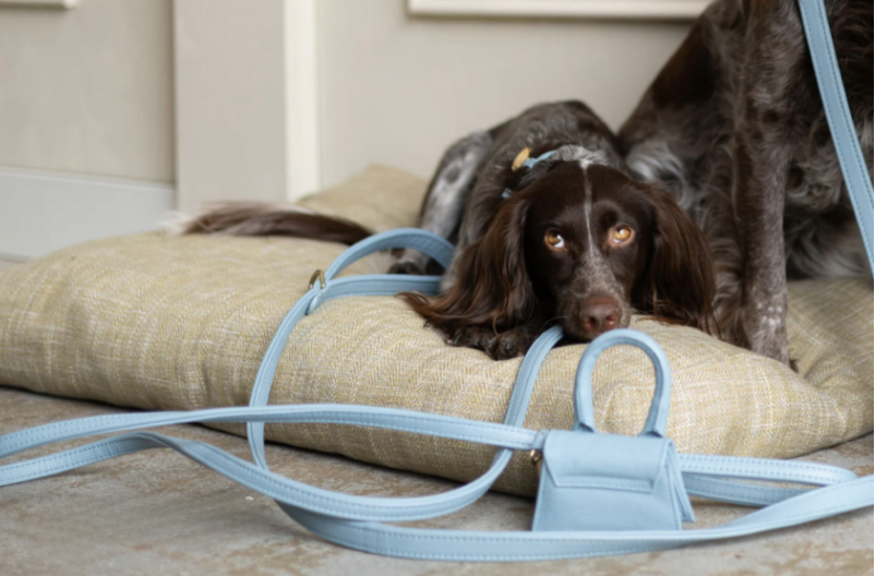 Design Beloningstasje - Poepzakjeshouder