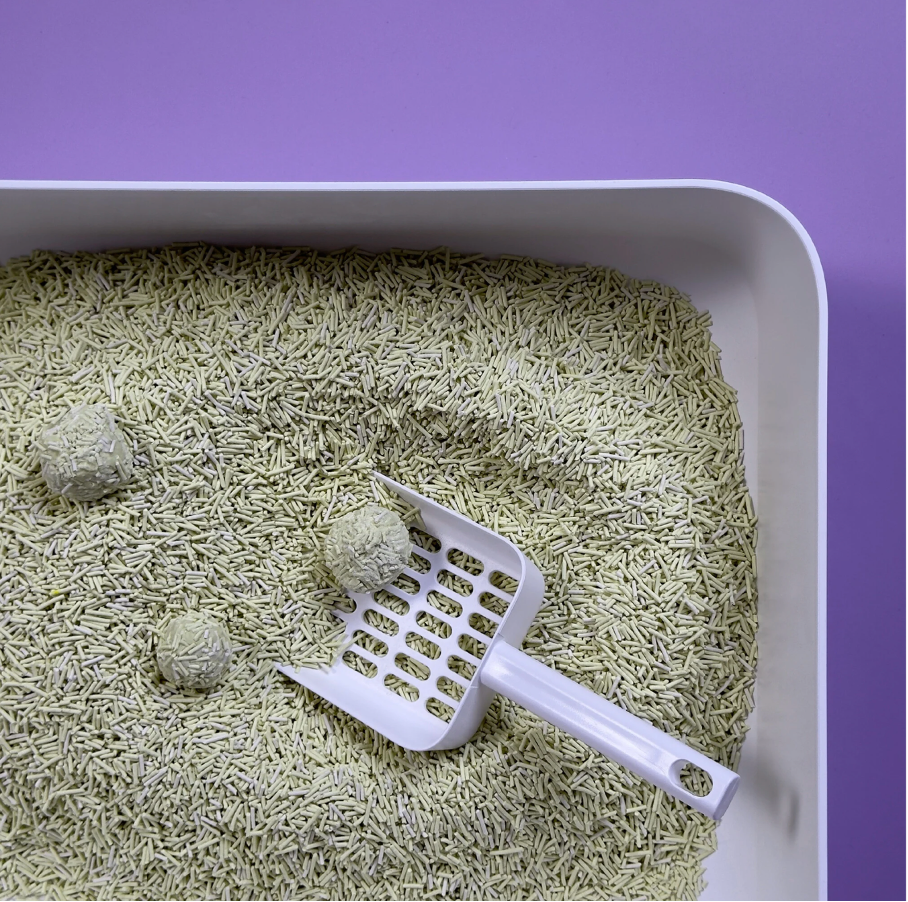 Tofu Kattenbakvulling