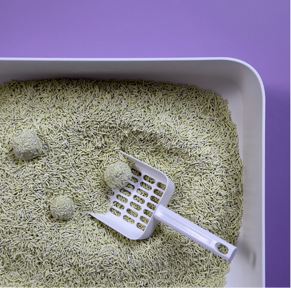 Tofu Kattenbakvulling