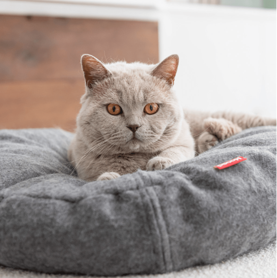 Donut Kattenbed Diverse Kleuren