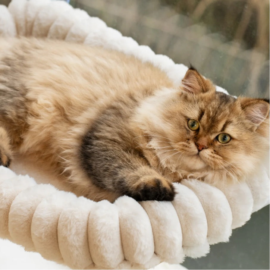 Katten Hangmat Raam Opvouwbaar