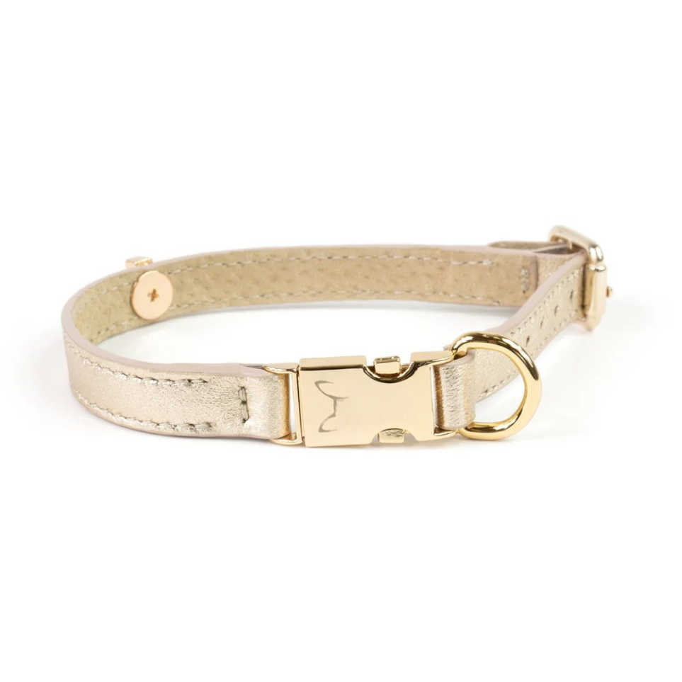 Leren Honden- en Kattenhalsband Tino Licht Goud