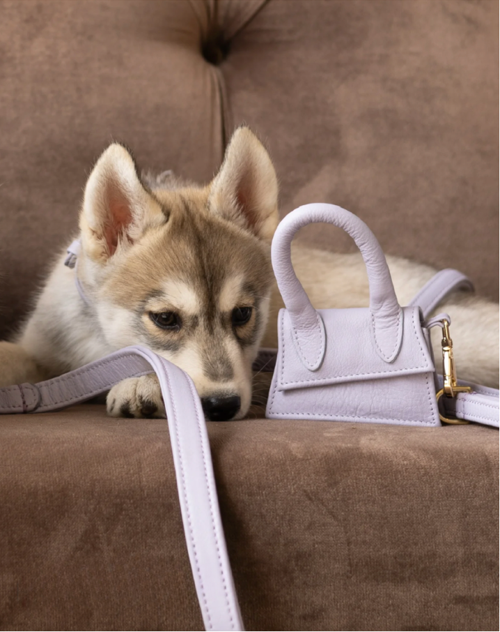 Design Beloningstasje - Poepzakjeshouder