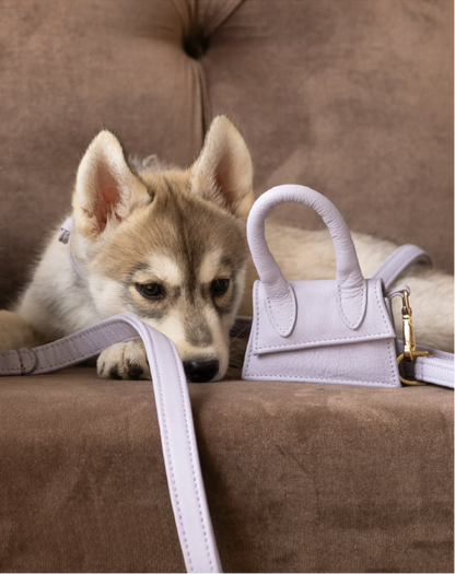 Design Beloningstasje - Poepzakjeshouder