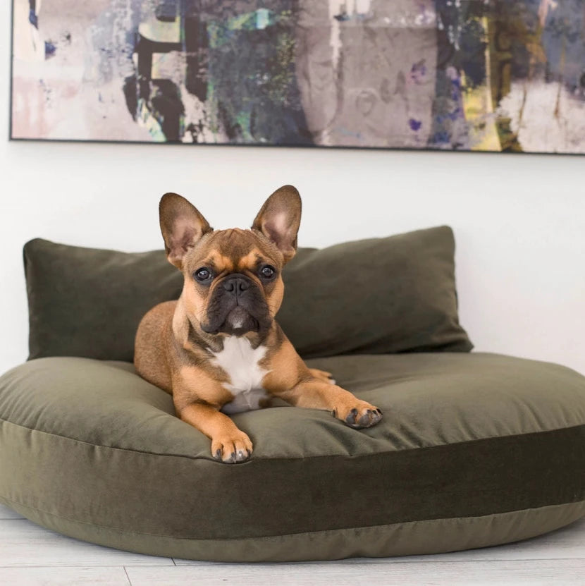 Luna_Lounge_Hond-_en_Kattenbed