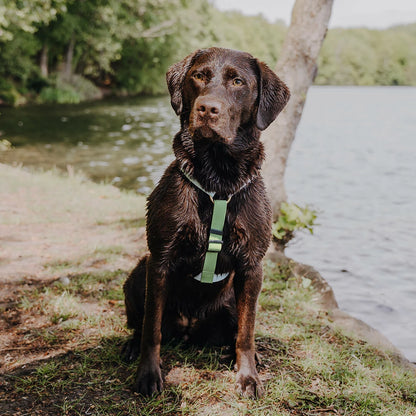 Outdoor FLEX Hondenharnas Grijs/Groen