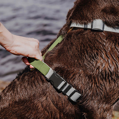 Outdoor FLEX Hondenharnas Grijs/Groen