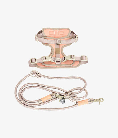 Rex Harnas & Riem Set
