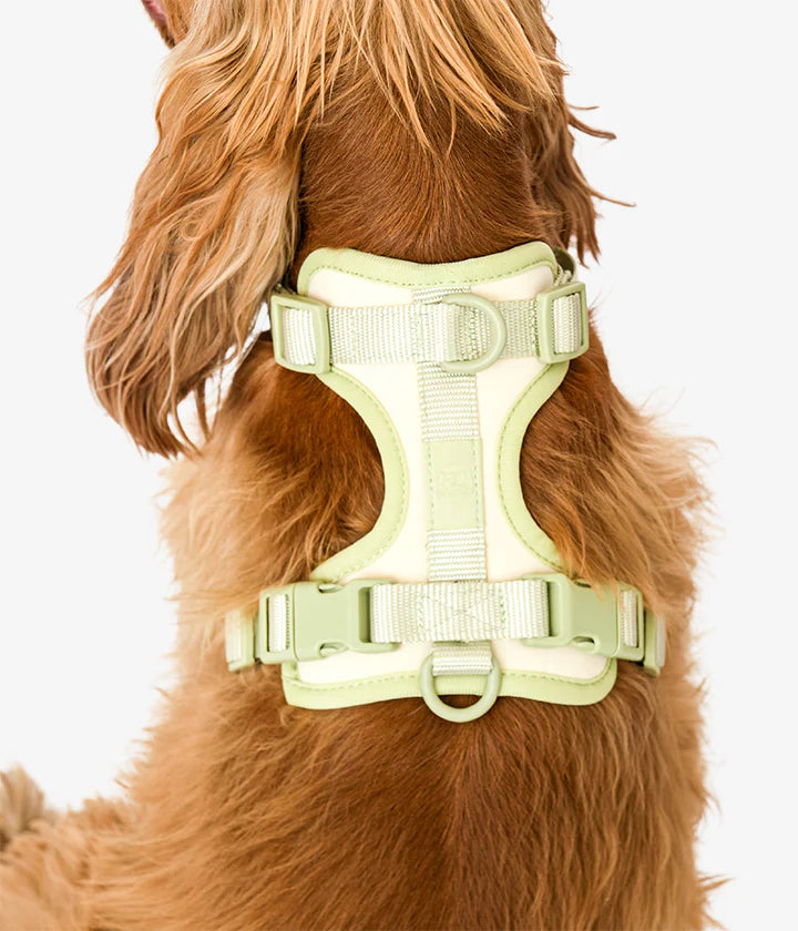 Rex Harnas & Riem Set Vanilla