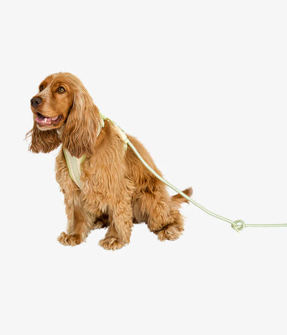 Rex Harnas & Riem Set Vanilla