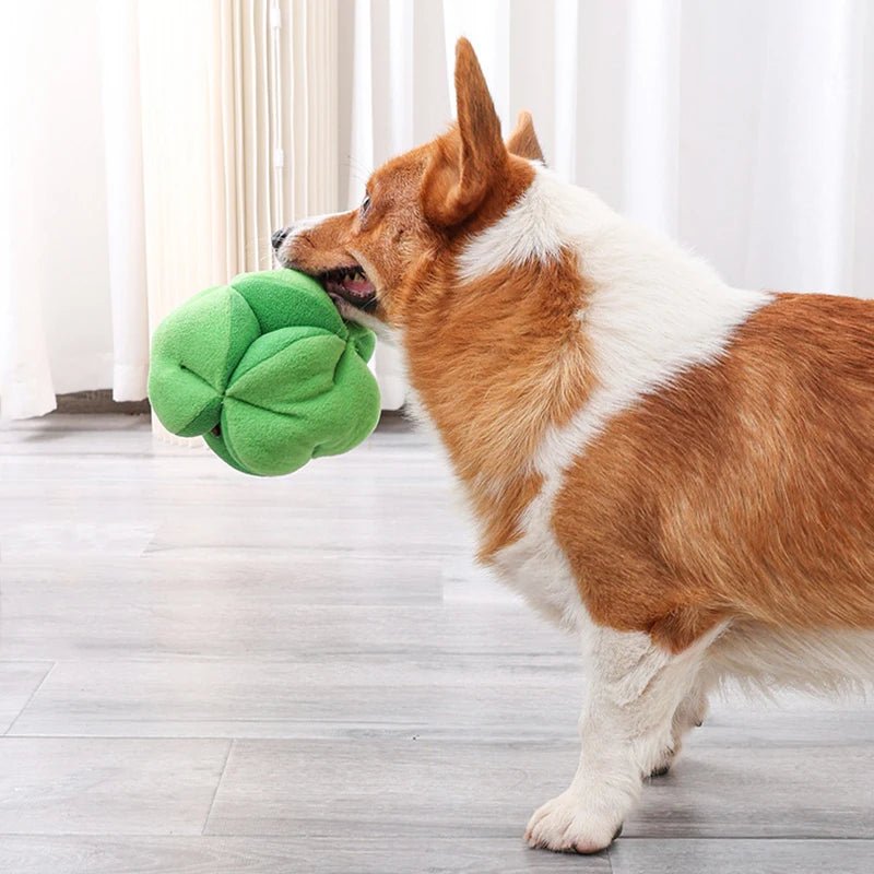 Interactief Snuffelspel Broccoli Hond