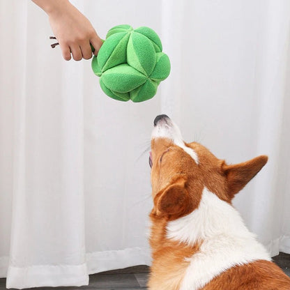 Interactief Snuffelspel Broccoli Hond