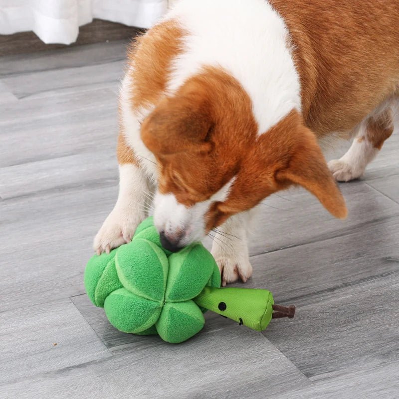 Interactief Snuffelspel Broccoli Hond