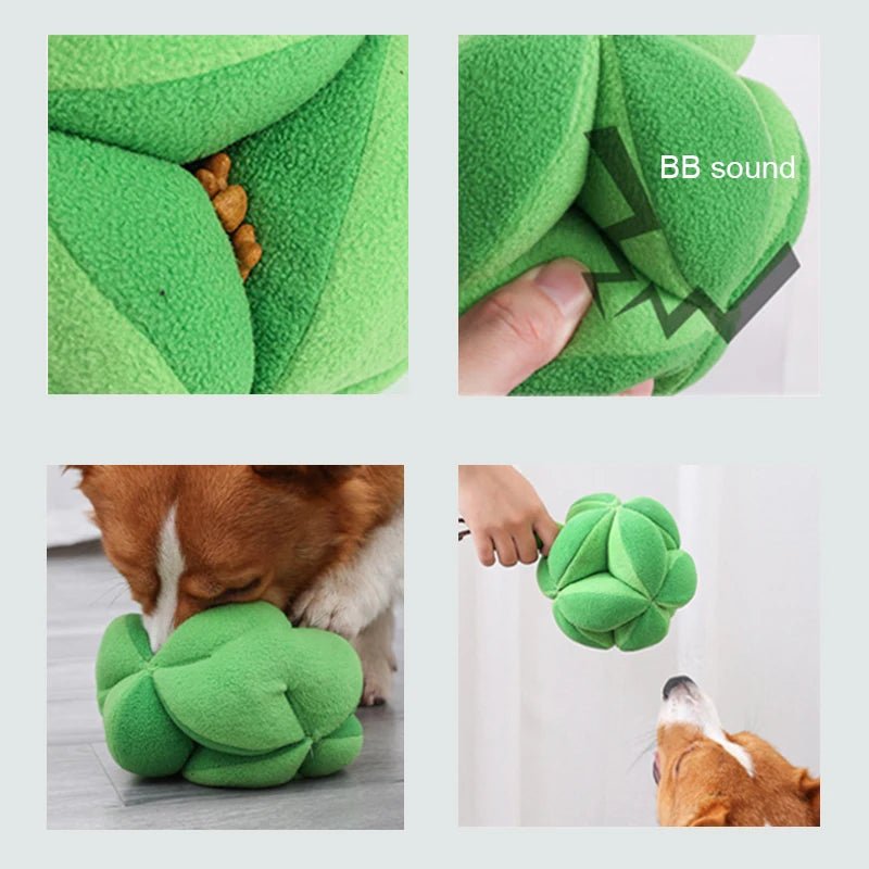 Interactief Snuffelspel Broccoli Hond