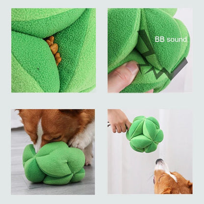 Interactief Snuffelspel Broccoli Hond