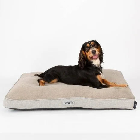 Scruffs_harvard_Honden_Kussen