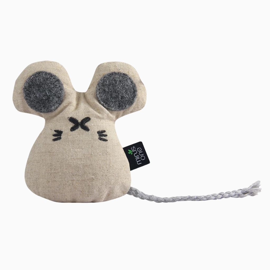 Speelmaatje Kat