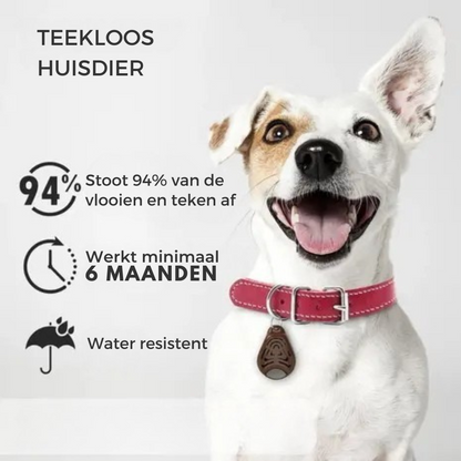 Teken- en Vlooienbestrijder Hanger Kat en Hond
