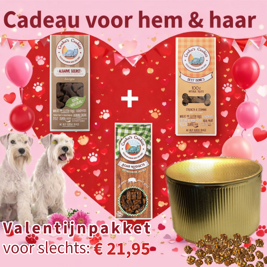 🎁 Valentijnpakket voor de hond – Limited Edition 💝