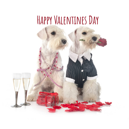 🎁 Valentijnpakket voor de hond – Limited Edition 💝
