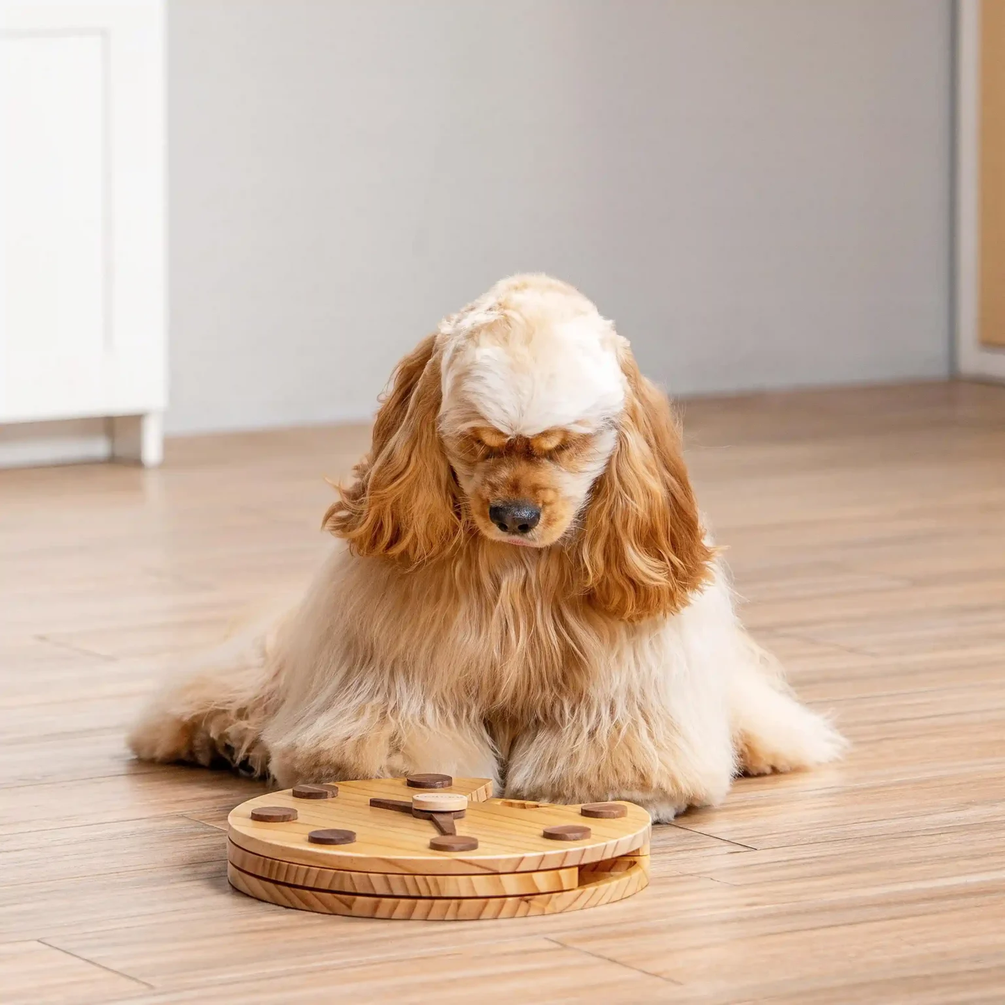 Wall Clock hondenpuzzel- Betrokkenheid creëren - Vermaken - Toegevoegde waarde bieden